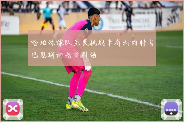 哈珀称球队无畏挑战幸有科内特与巴恩斯的老将引领
