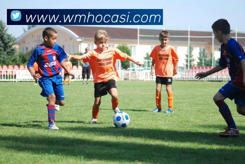 平台使命图
