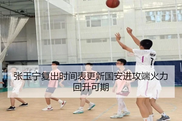 张玉宁复出时间表更新国安进攻端火力回升可期 | ayx.comapp