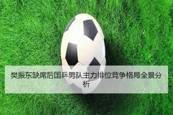 樊振东缺席后国乒男队主力排位竞争格局全景分析 | ayx.comapp