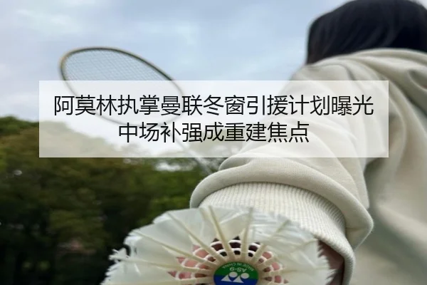 阿莫林执掌曼联冬窗引援计划曝光 中场补强成重建焦点 | ayx.comapp